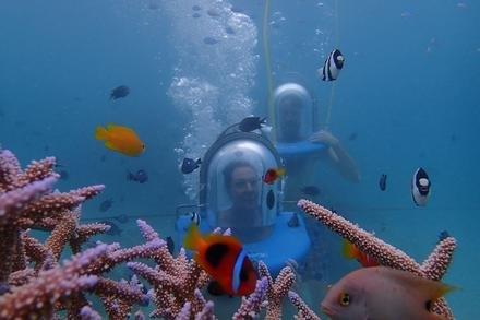 Ocean Walker